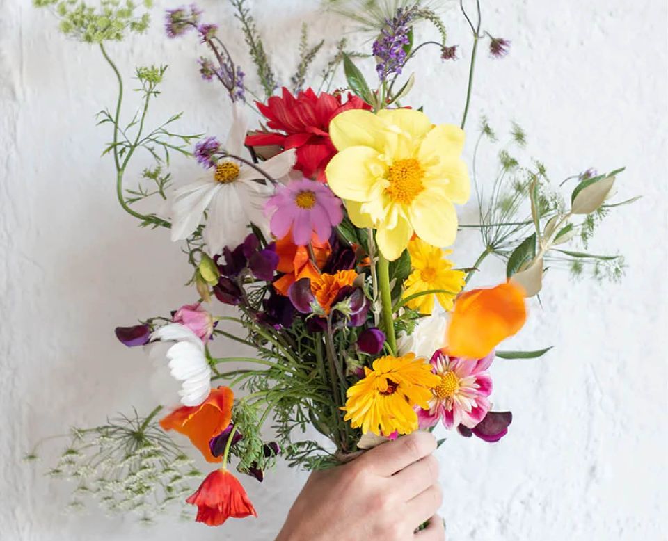 You Can Grow Cut Flowers!, Carbon Valley Regional Library, Firestone, March 23 2024 AllEvents.in