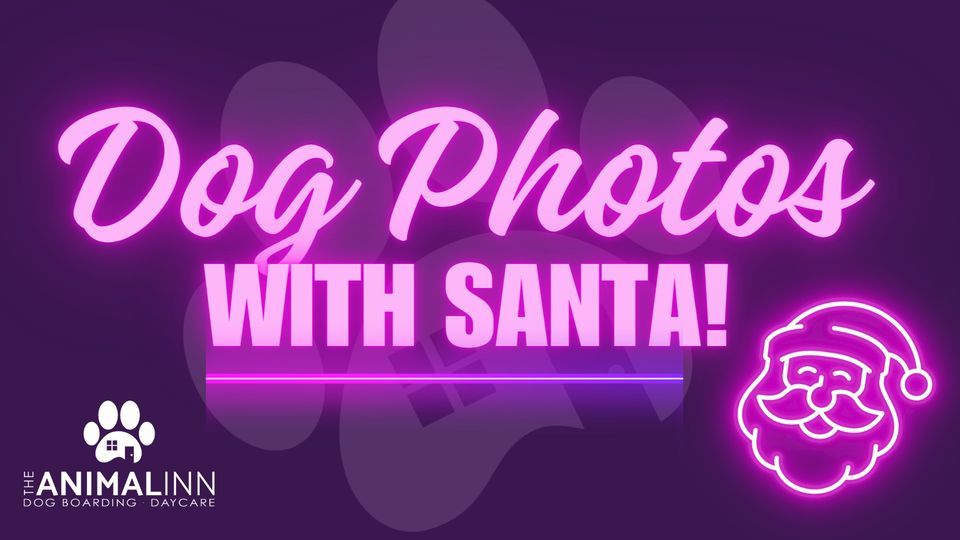 Dog Photos With Santa The Animal Inn Carlisle 9 December dog-photos-with-santa-the-animal-inn-carlisle-9-december