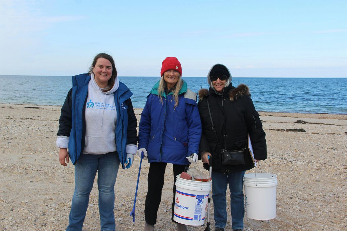 First Day Hike & Beach Clean-Up w. AMSEAS at Hallock State Park