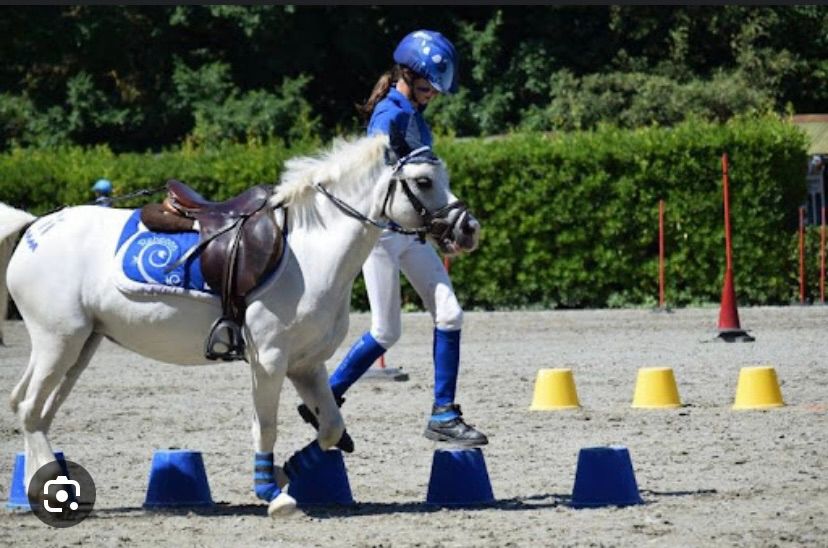 Fun Games, Jumping, Fancy Dress and Snacks!, Grey's Well Farm,