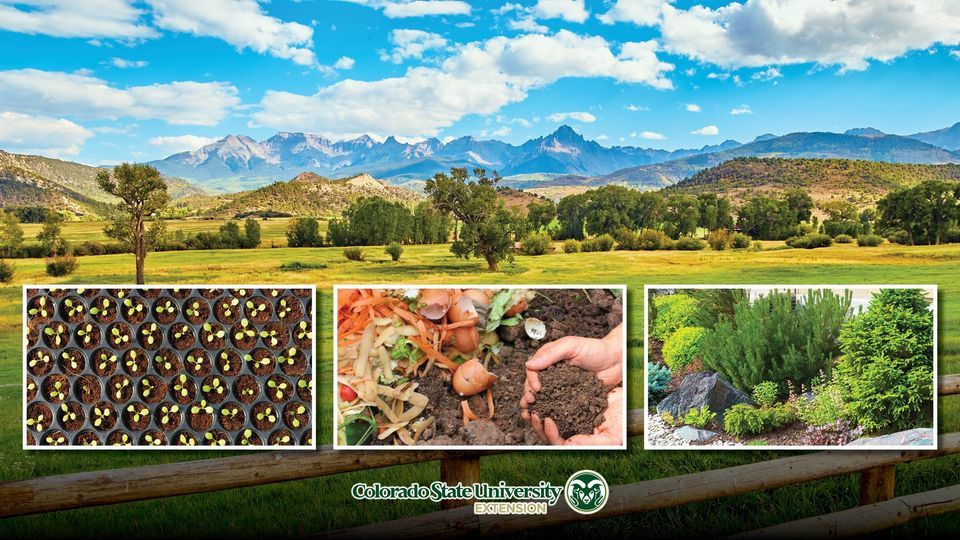 Gardening 101 with CSU Extension Planting Seedlings, Carbon Valley Regional Library, Firestone