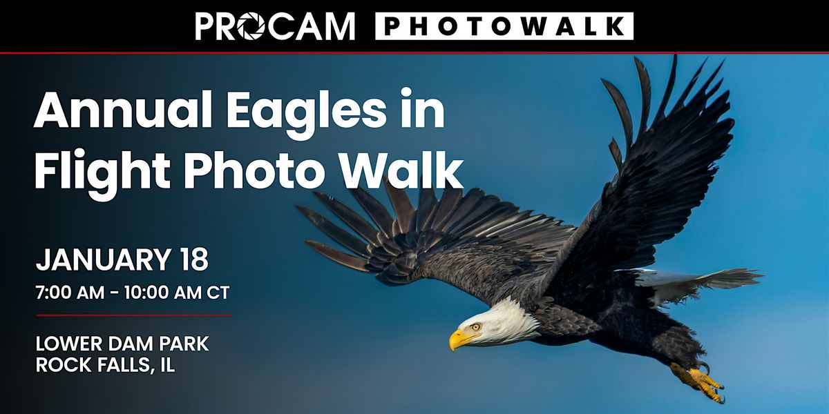 PROCAM Chicago's Annual Eagles in Flight Photo Walk, 18 January | Event in Rock Falls | AllEvents