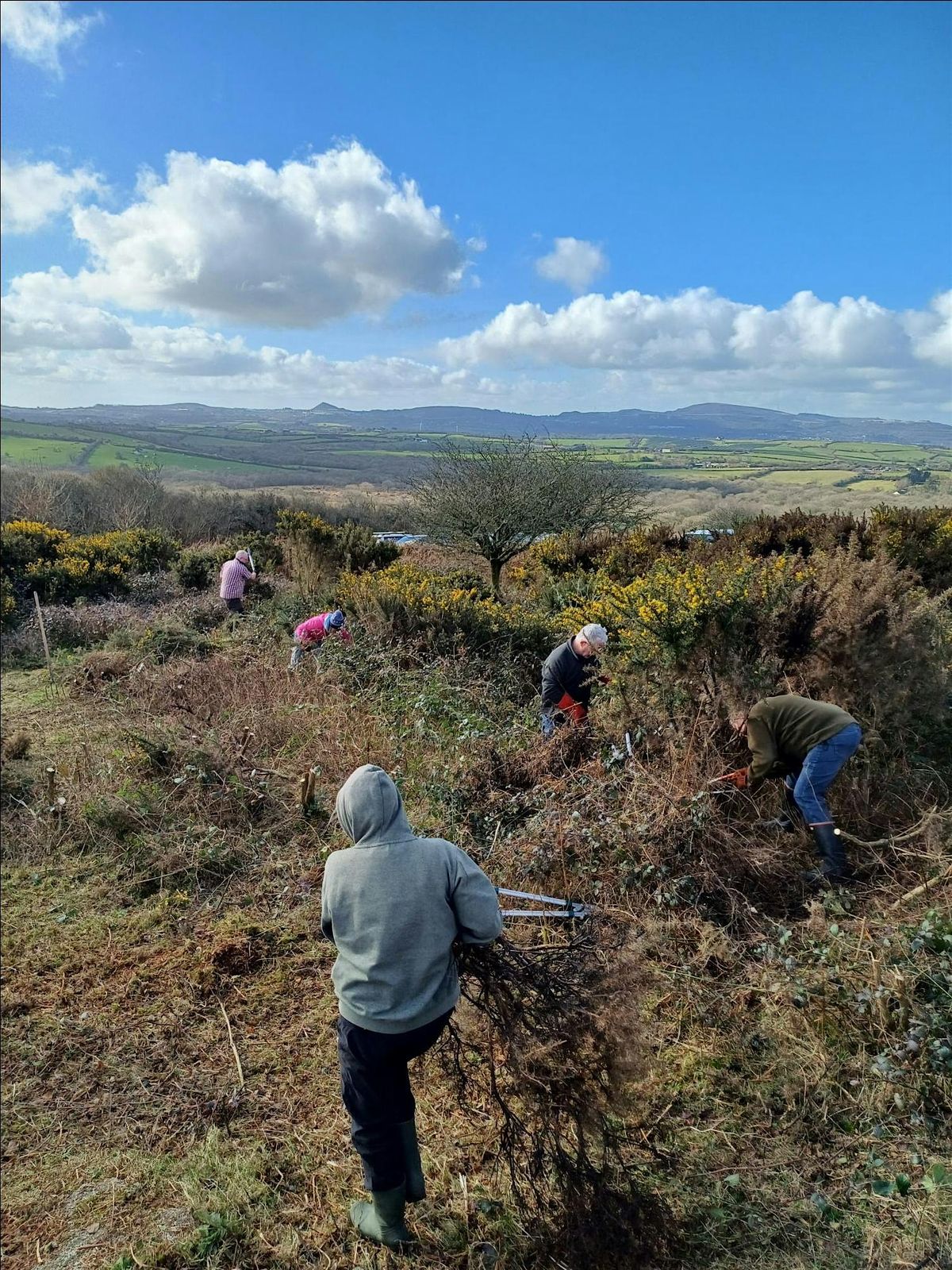 Practical Conservation Volunteer Day at Helman Tor, 12 January | Event in Bodmin | AllEvents