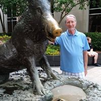 User profile photo