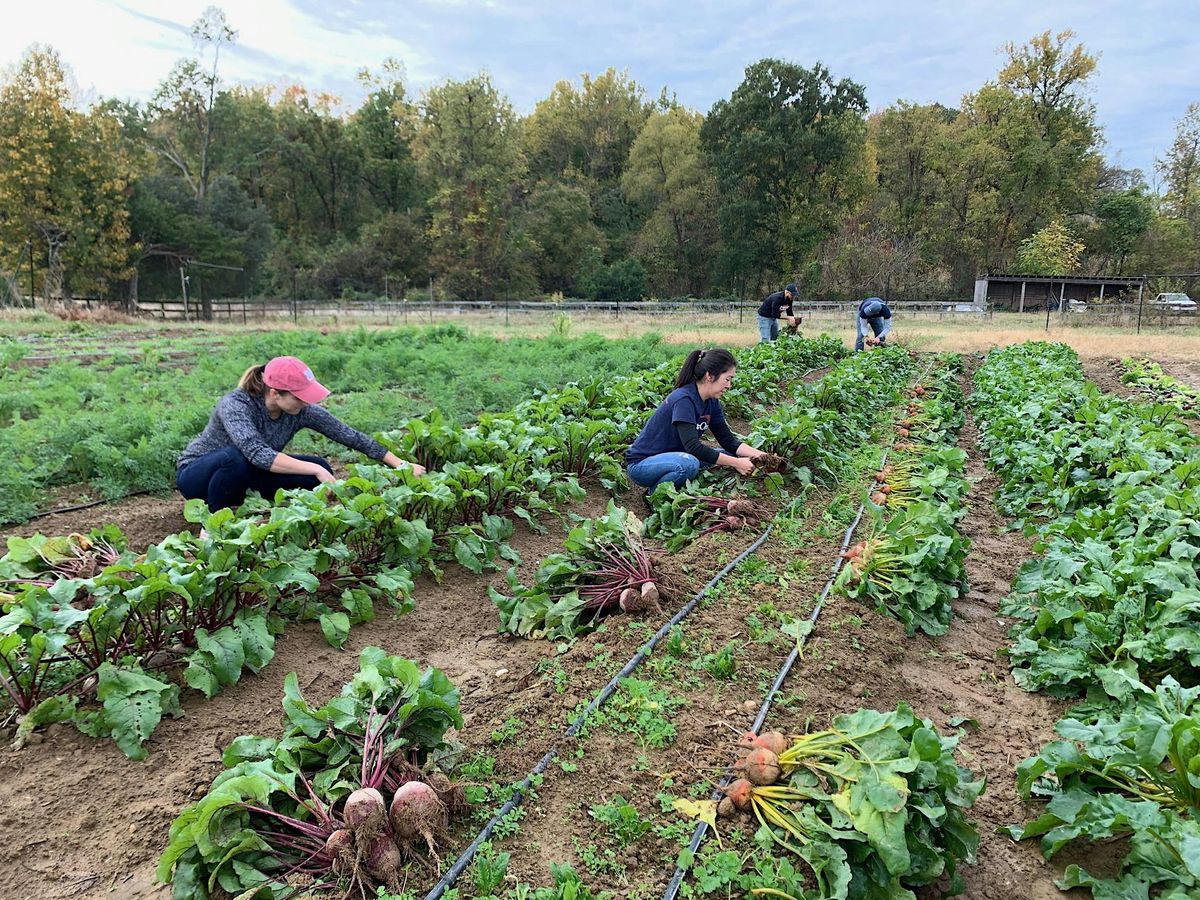 Arcadia Open Volunteer Saturday - NOVEMBER, Woodlawn & Arcadia Farm ...
