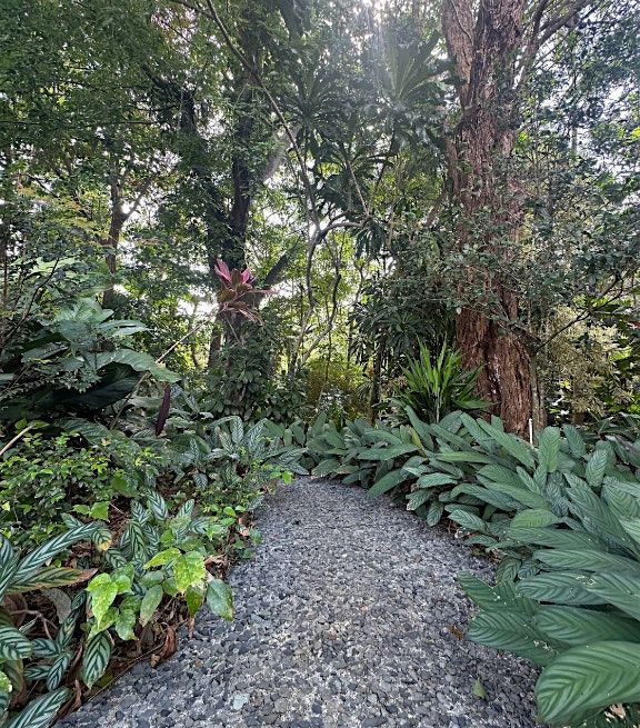 Forest Bathing in an Artist's Garden, 24 January | Event in Honolulu | AllEvents