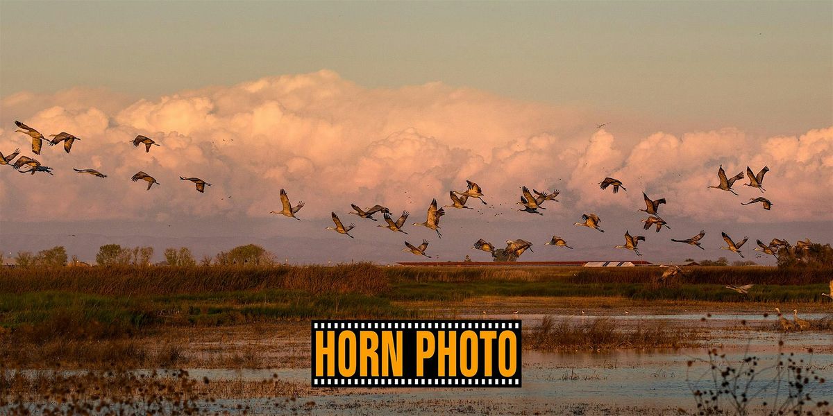 Nature Photography Event - Merced Wildlife Refuge, 24 January | Event in Merced | AllEvents