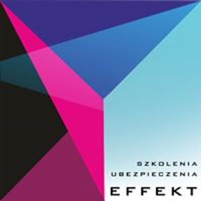 Effekt Sp z o o Katowice - Szkoły, Szkolenia i Ubezpieczenia