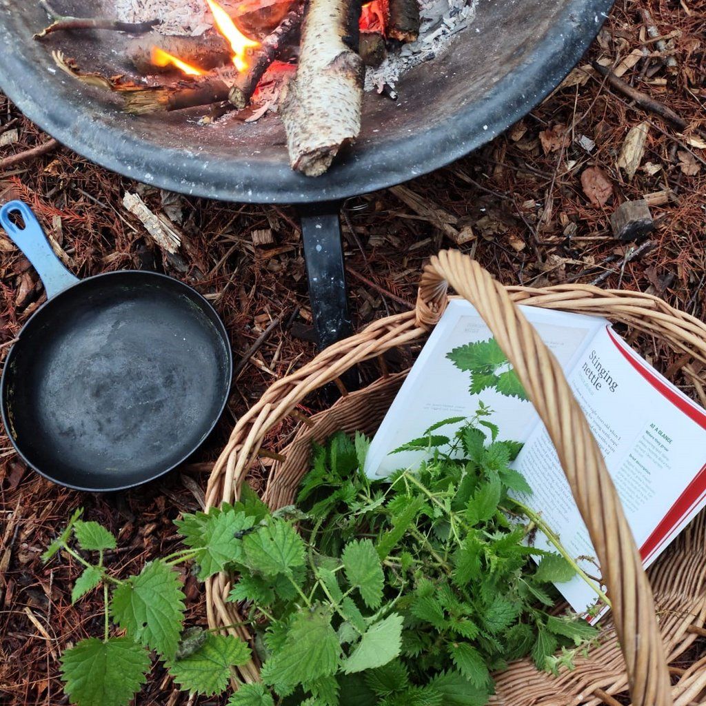 Wetland Wellbeing Workshop- Forest Feast, 27 September | Event in Wimbledon | AllEvents