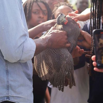 Ole Mack Ronald logo