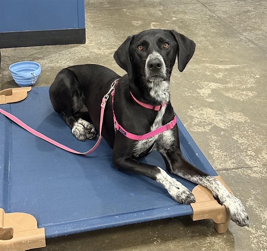 Duo Touch Prep - Fridays 2:30 pm - January 9 to February 13, 9 January | Event in St. Louis | AllEvents