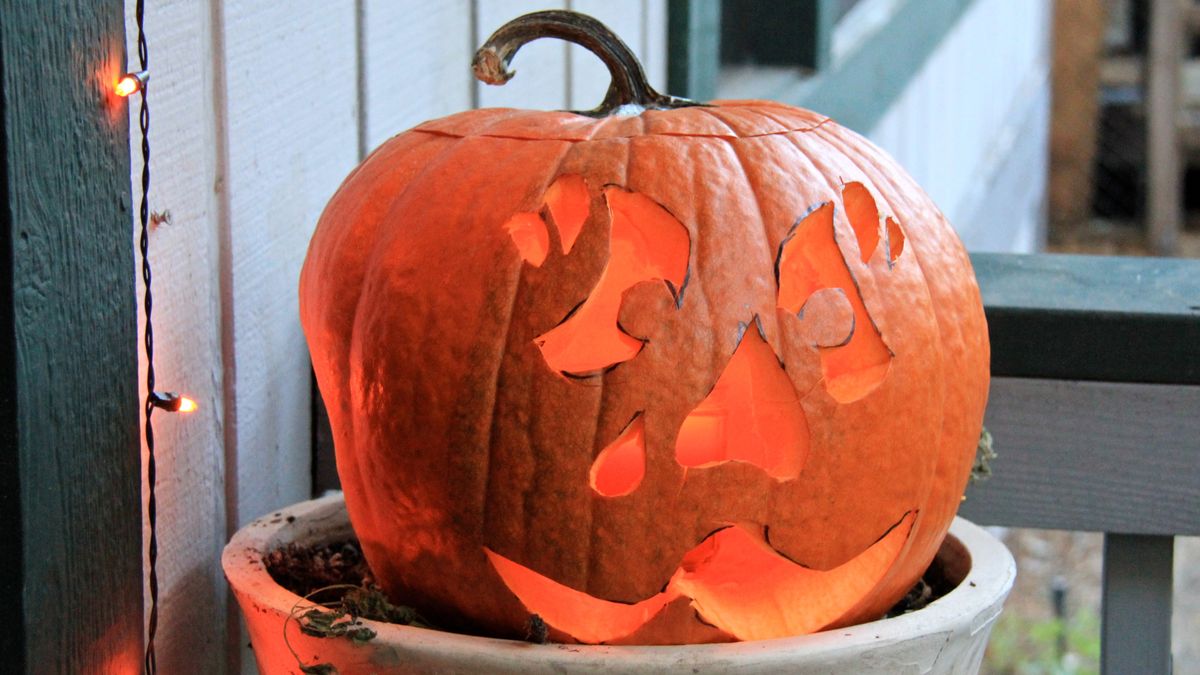 Trunk or Treat Neighborhood Halloween Party, 29 October | Event in Heber City | AllEvents