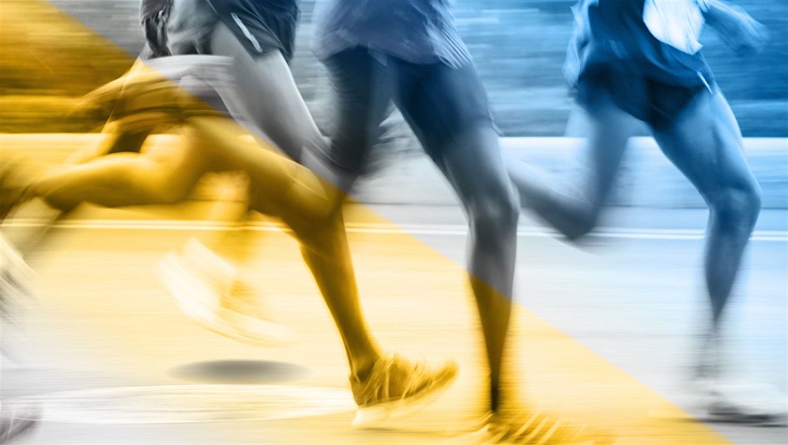 Network with NIA Elite Members for More Effective Business-Building—Dec 11, 11 December | Event in Eagan