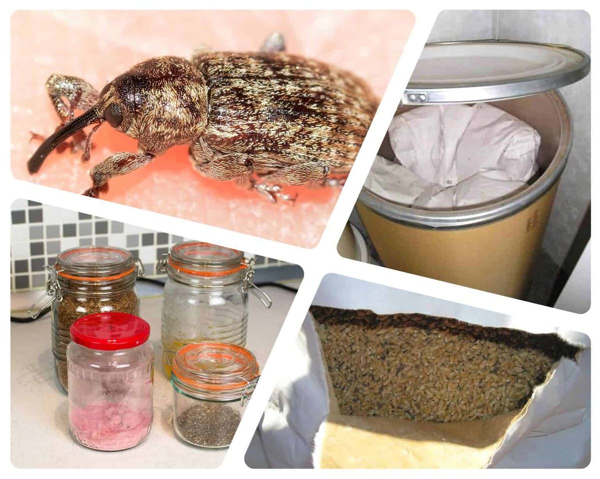 The Droves  My Reply  Long Cold Stare  & Following Seas, 29 December | Event in Birmingham | AllEvents