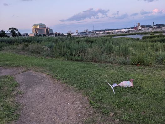 Veterans Day 2020 Events Celebrations In New Haven Allevents In Tempe Veterans Day Parade 2022