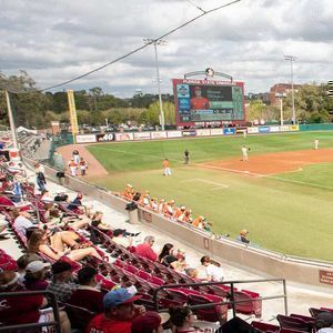 The Citadel Bulldogs at Florida State Seminoles Baseball