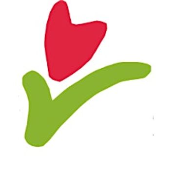 Trauma Survivors Network