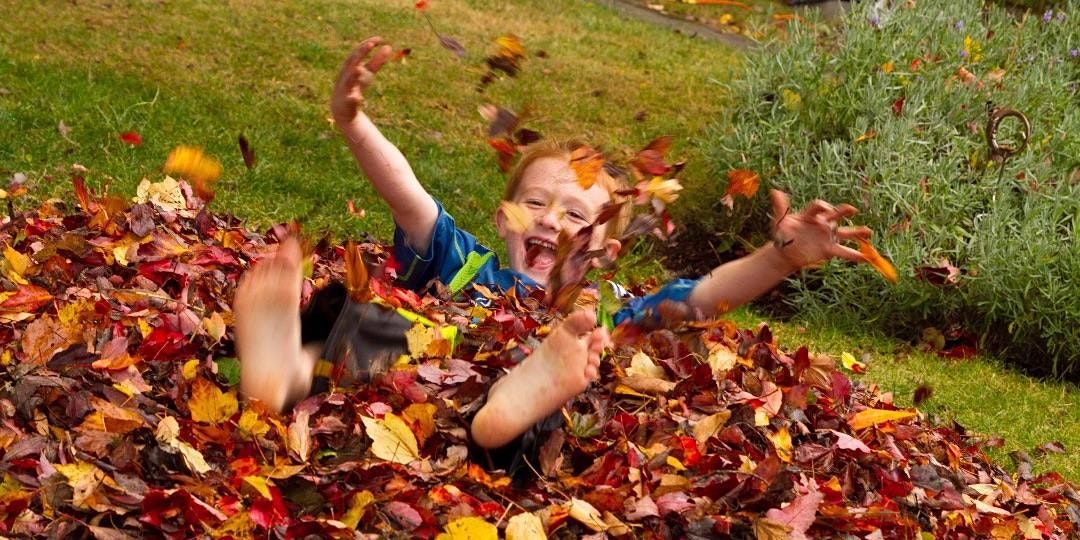 NVC Immersion Fall Boot Camp on AllEvents.in | Online Events NVC Immersion Fall Boot Camp on AllEvents.in | Online Events