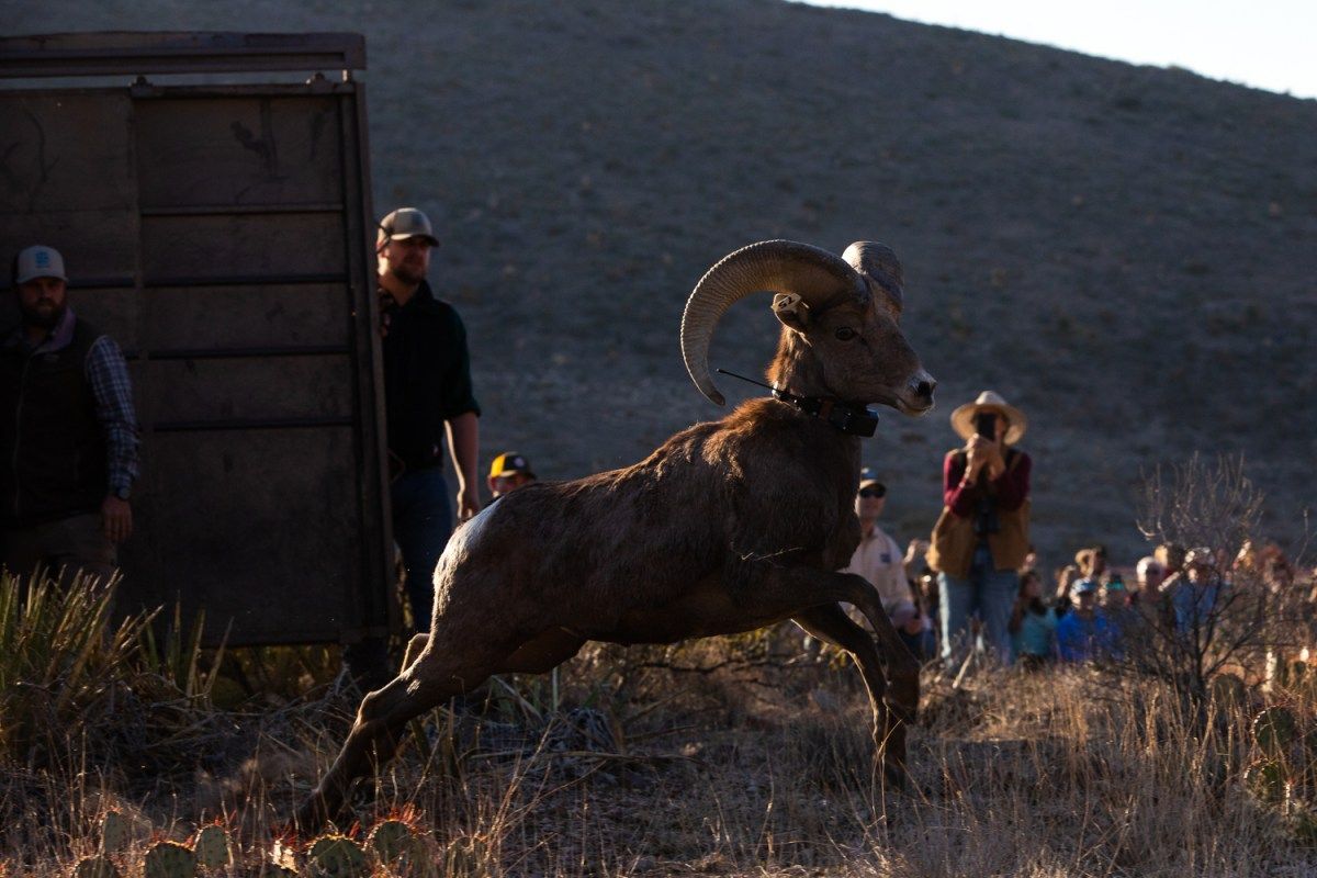 Parking Deathtrap - Franklin, 6 February | Event in Franklin | AllEvents