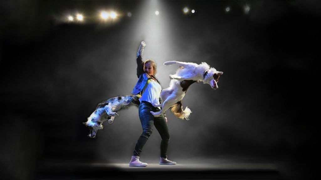 Mutts Gone Nuts - Unleashed!, 14 November | Event in Elkhart | AllEvents