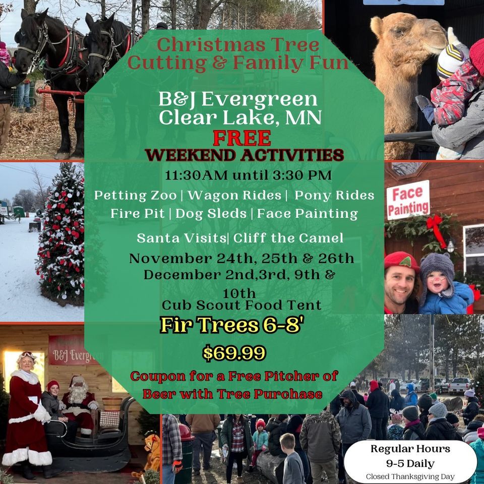 Christmas Fun on the Farm, B&J Evergreen, Foley, December 3 2023