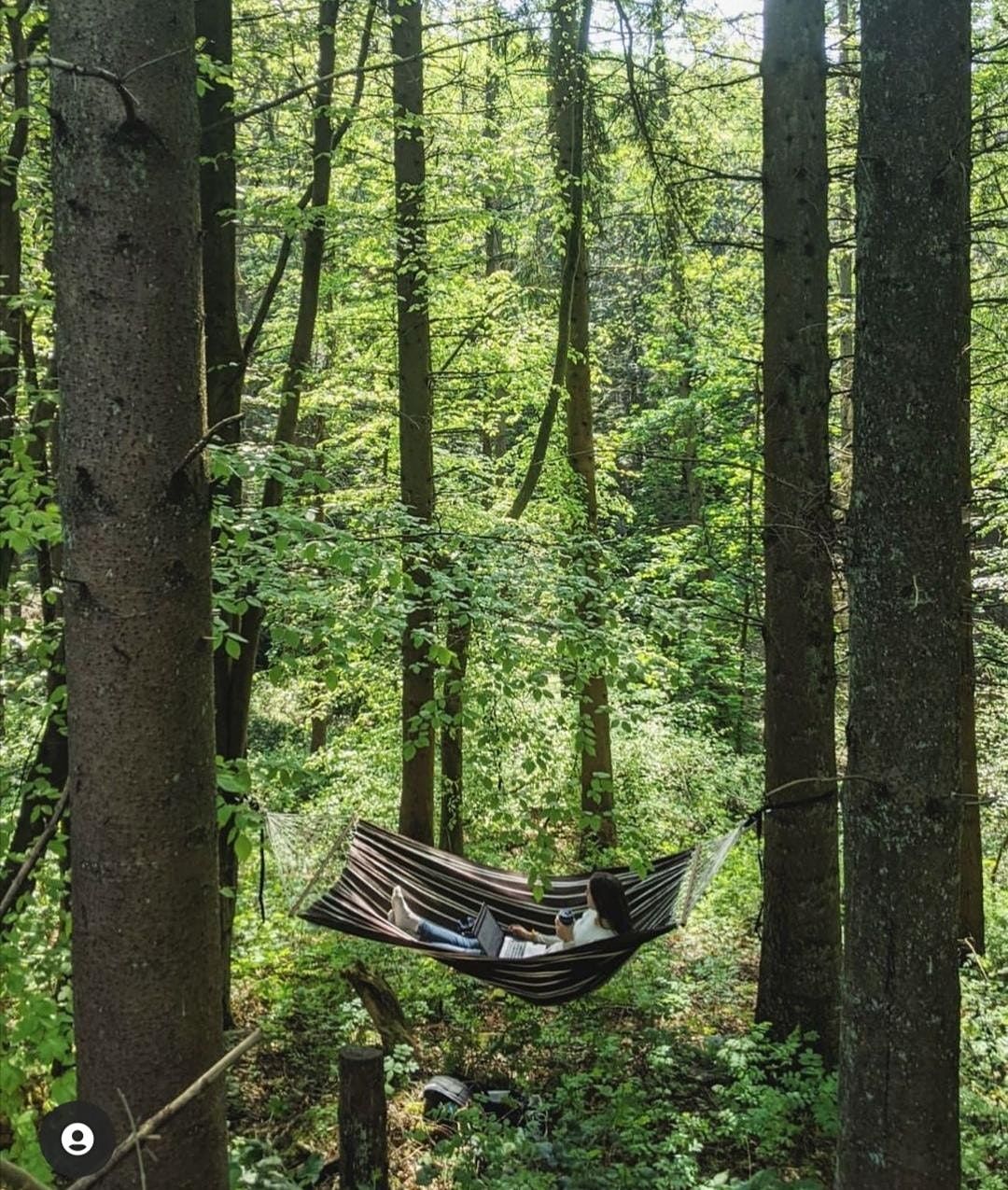 Cocktails Events In Chippenham Today And Upcoming Cocktails Events In Chippenham Spring Cocktails 2022