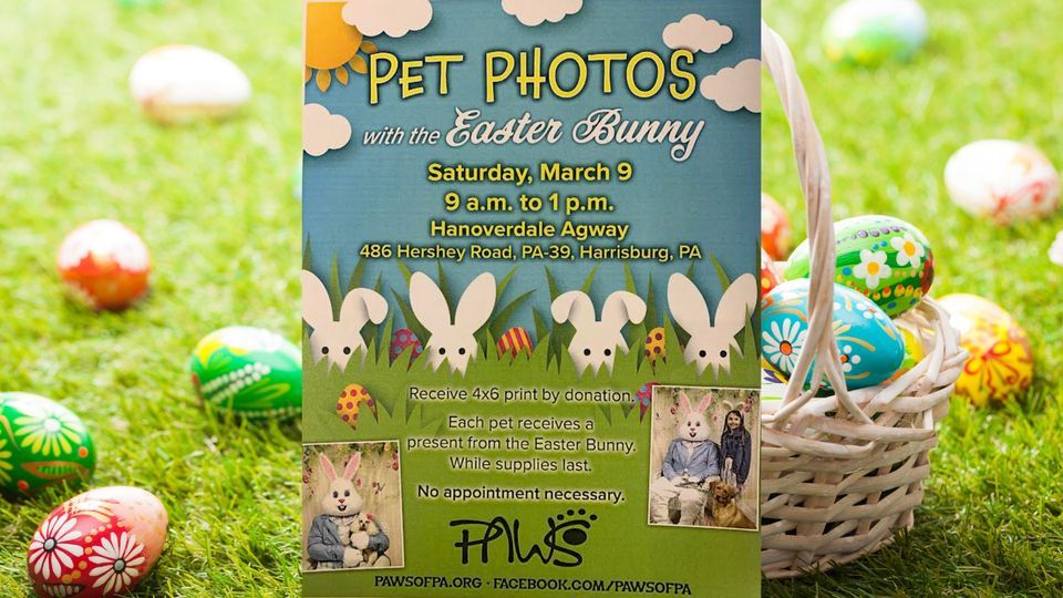 Pet Photos With The Easter Bunny, Hanoverdale Agway, Hershey, 9 March