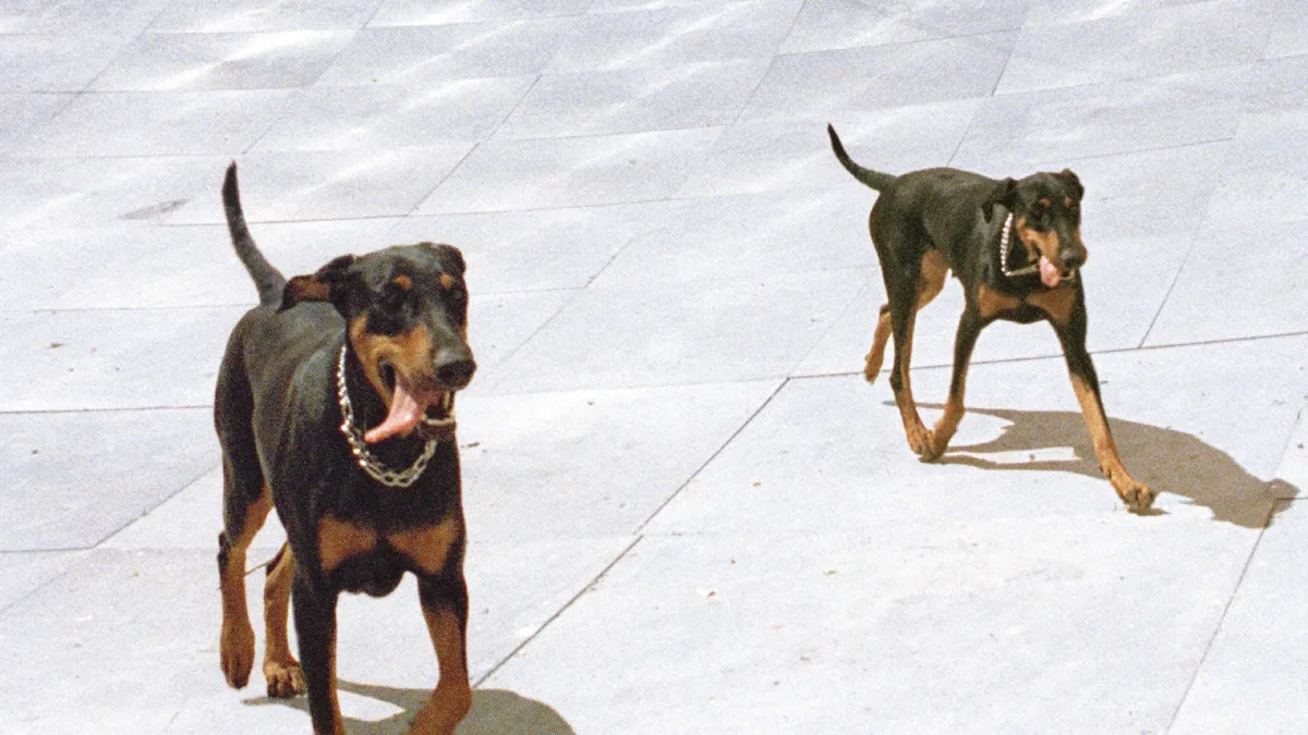 Overmono in, 3 July | Event in Oosterhout | AllEvents