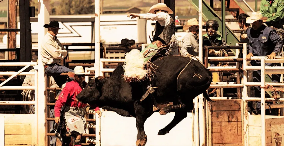 Watertown Rodeo | Event in Watertown | AllEvents
