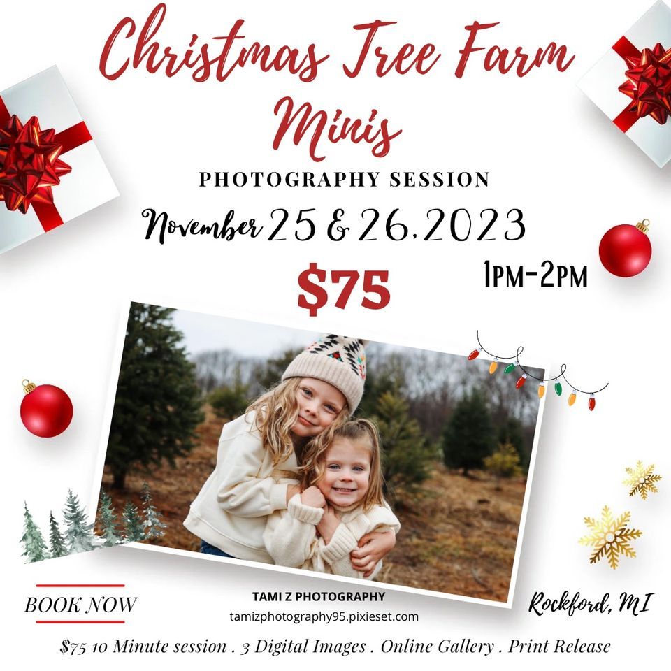 Christmas Tree Farm Minis, Rockford. Mi, November 25 to November 26