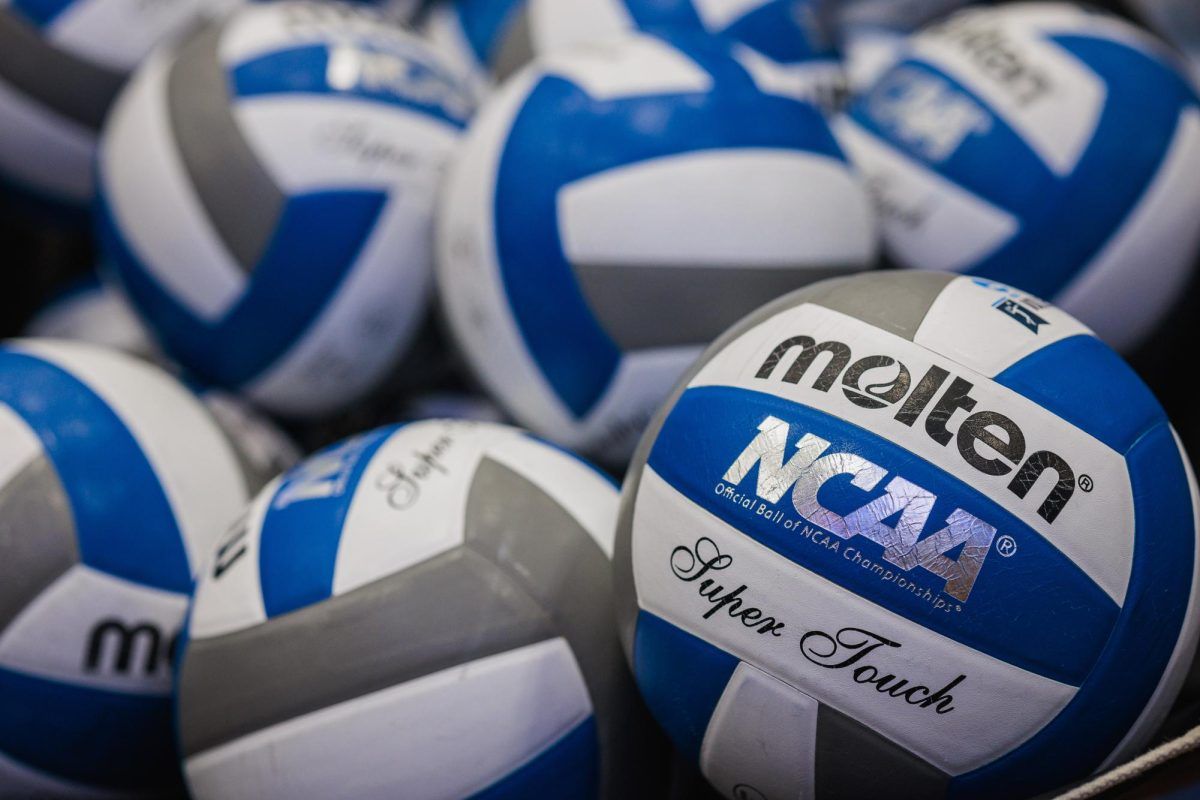 Stanford Cardinal Women's Volleyball vs. Pittsburgh Panthers, 13 November | Event in Stanford | AllEvents