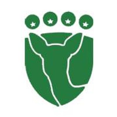 Team Favrskov Håndbold