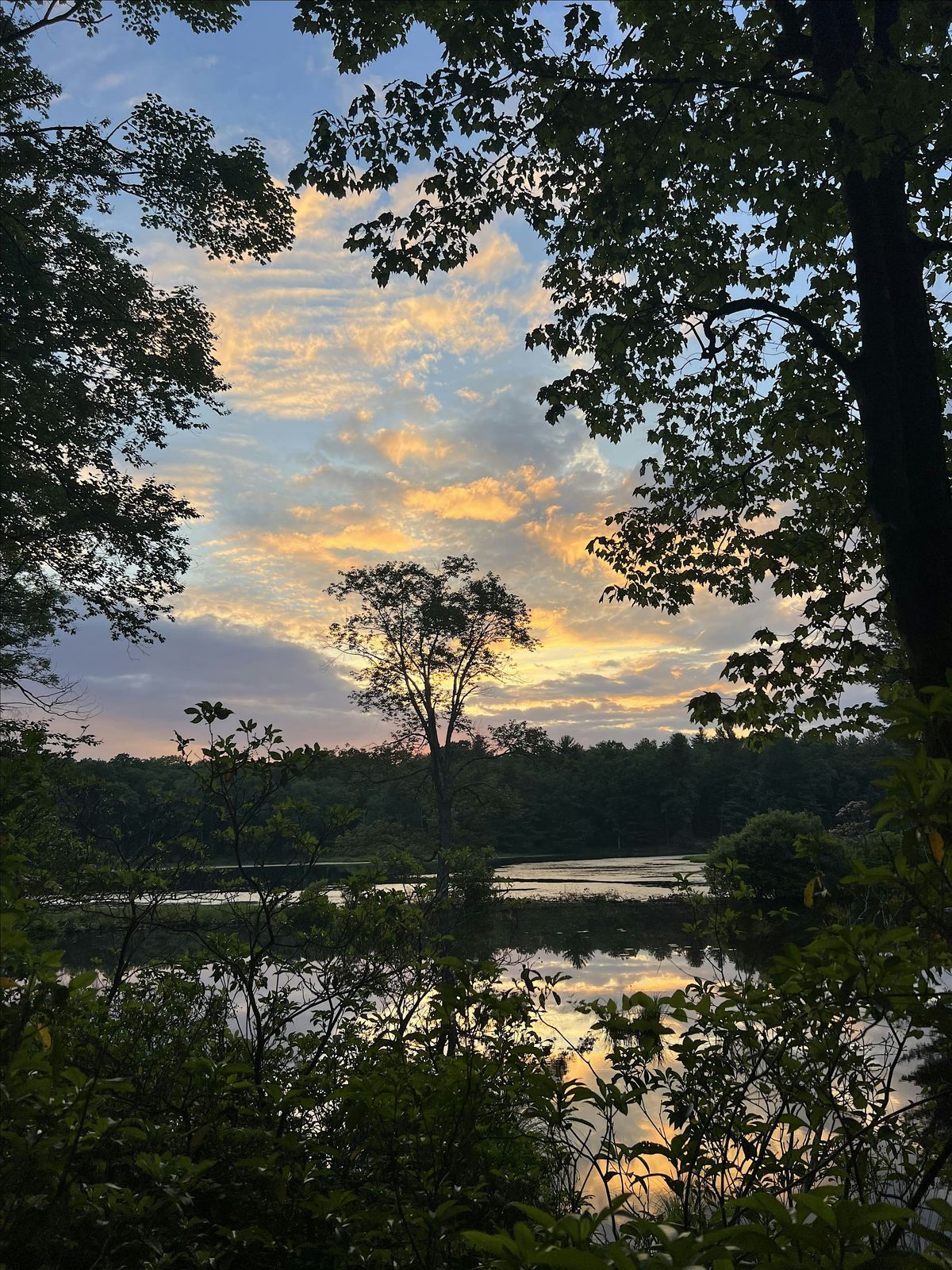Monday Mountaineers - Southern Blue Mountain Loop