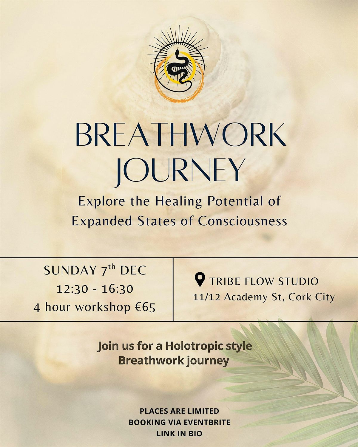 Breathwork Journey - Holotropic / Rebirthing in Cork, 7 December | Event in Cork | AllEvents