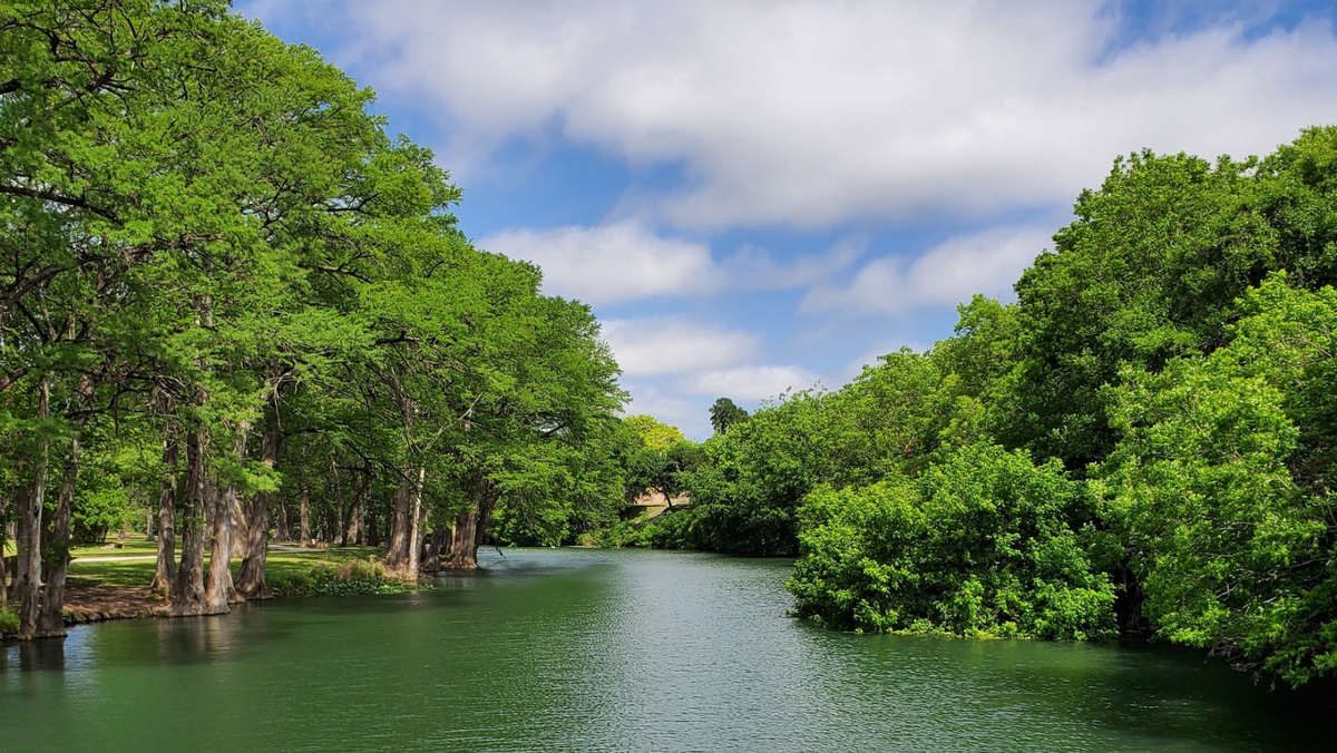 Parking Leslie Jones, 25 January | Event in Highland | AllEvents