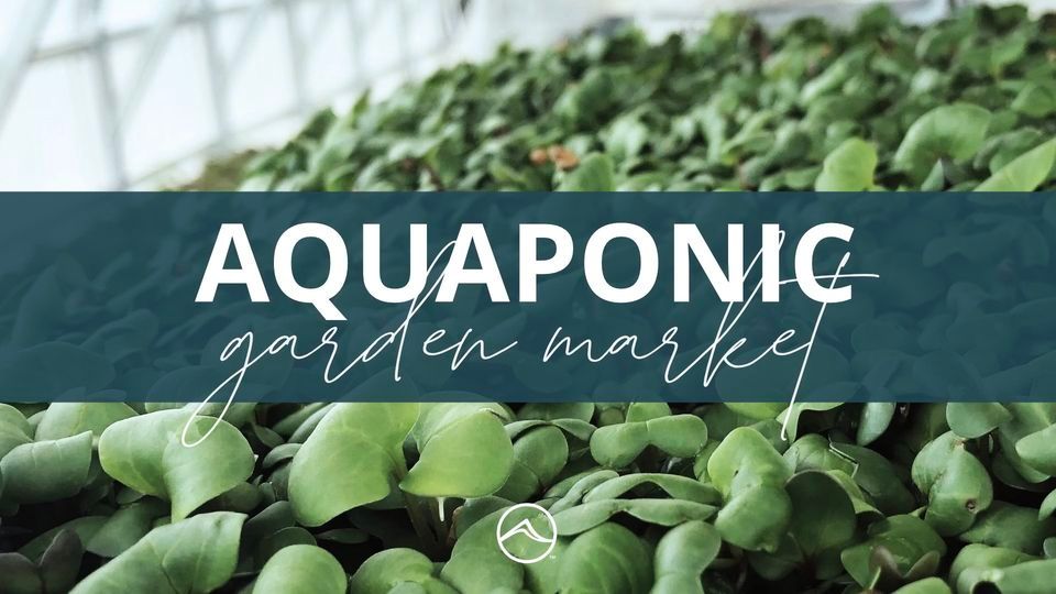 Aquaponic Garden Market, Mountain Springs Church, Colorado Springs