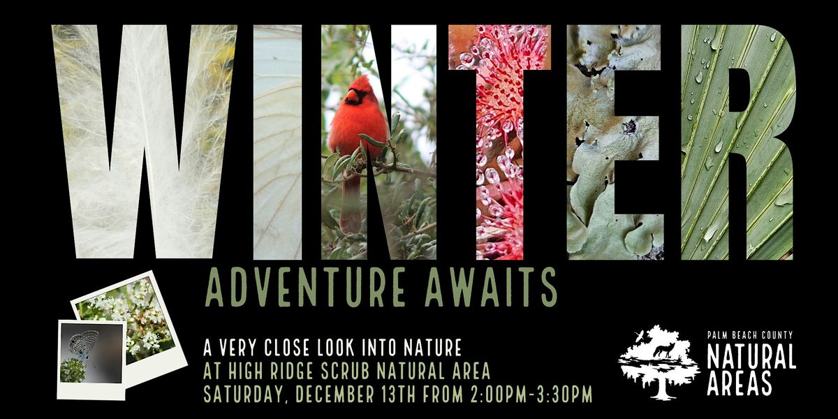 Adventure Awaits - A VERY Close Look at Nature Hike at High Ridge Scrub, 13 December | Event in Lake Worth