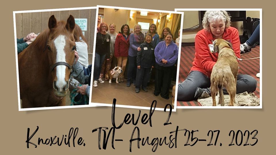 Healing Touch for Animals Level 2 in Knoxville, TN, ShangriLa