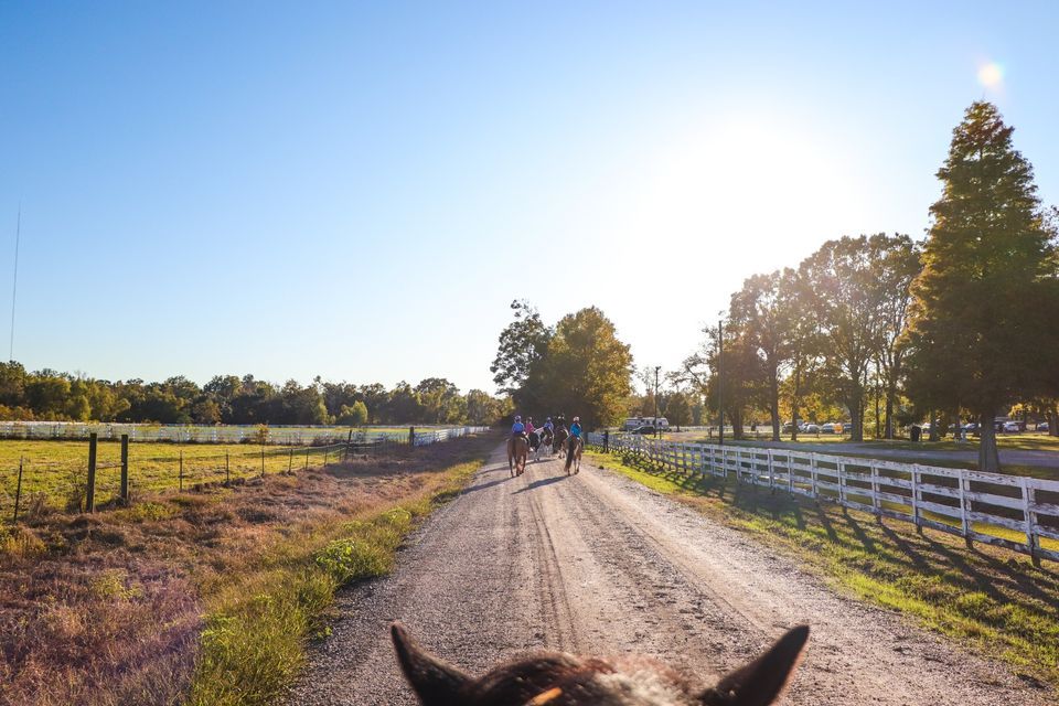 Guided Trail Rides, BREC's Farr Park Equestrian Center, Baton Rouge