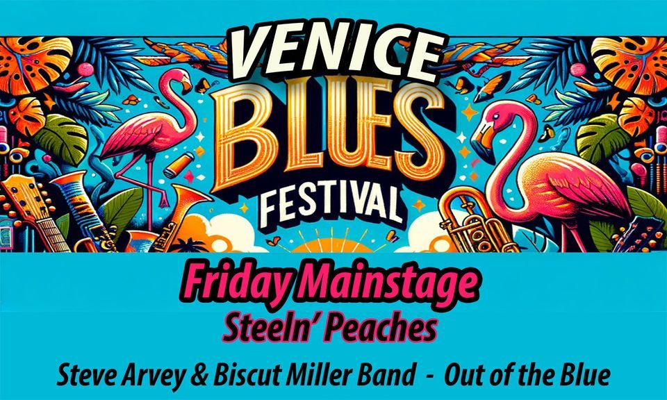 Venice Blues Festival Friday Night, Venice Airport Festival Grounds