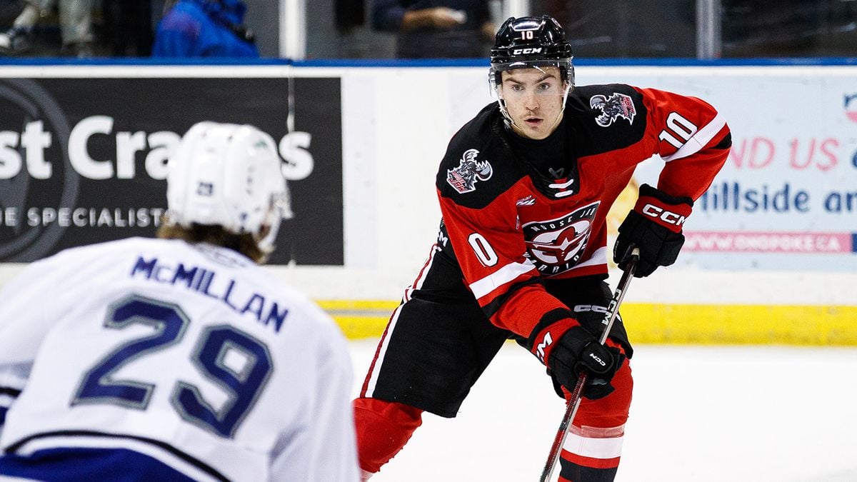 Victoria Royals at Moose Jaw Warriors, 24 January | Event in Moose Jaw | AllEvents