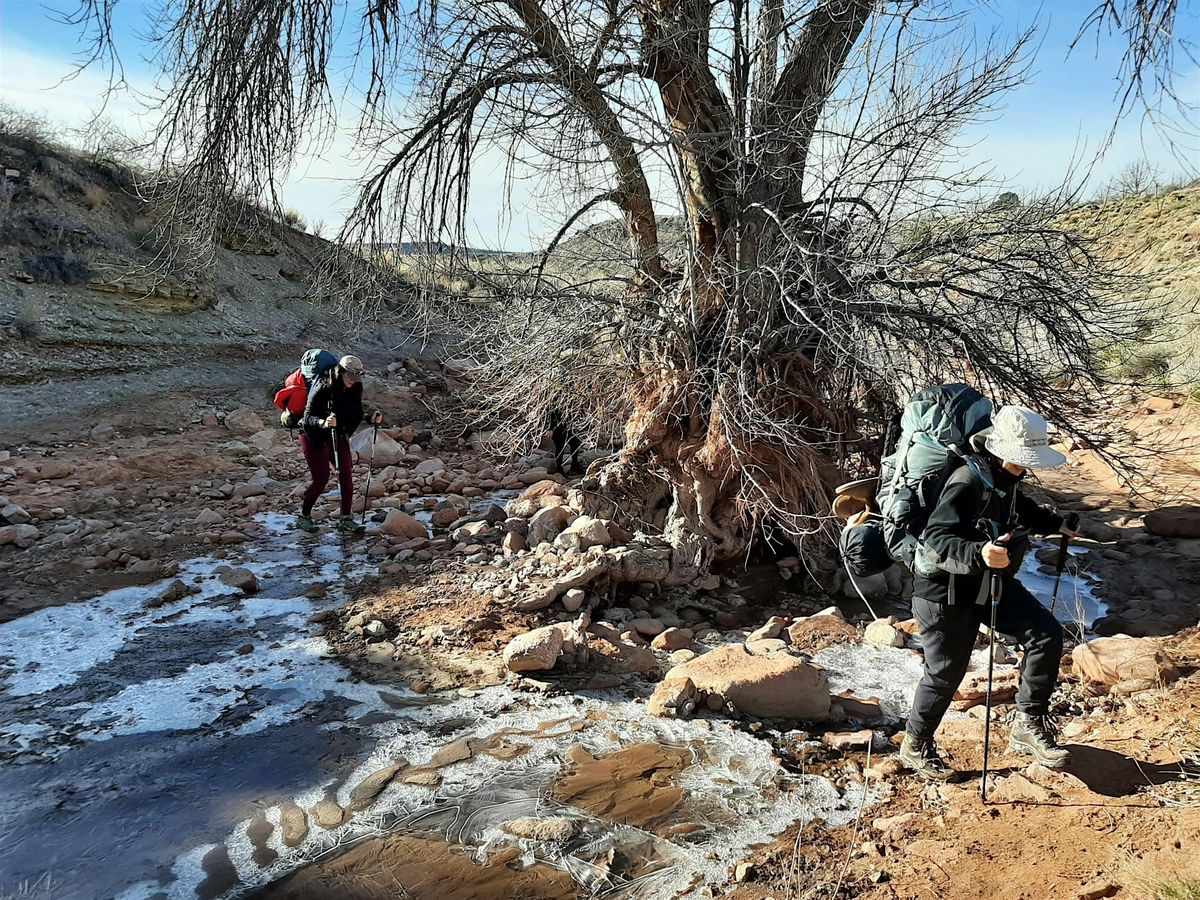 Women Who Explore: Missouri - Big Piney Trail Winter Backpacking Weekend