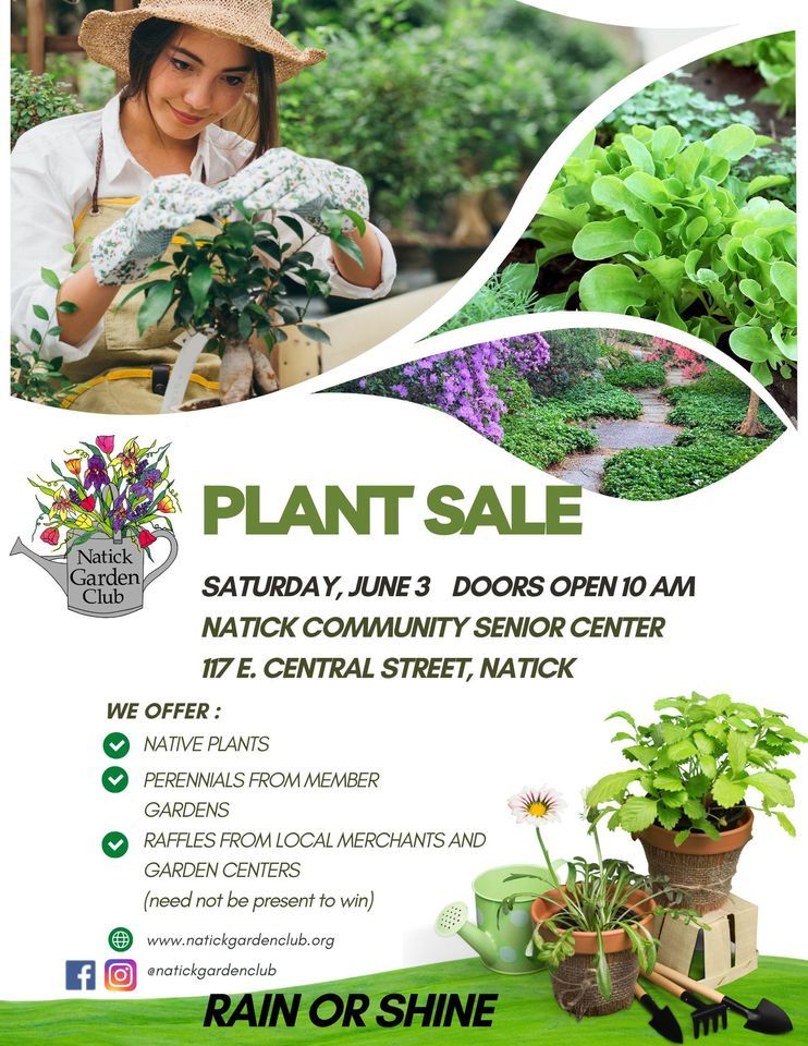 Plant Sale and raffle, Natick Community Senior Center, 3 June 2023 ...