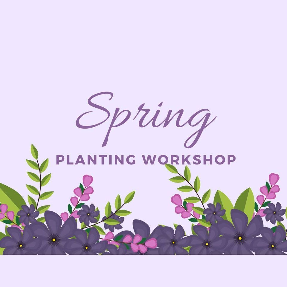 Spring Container Scandia , Abrahamson Nurseries (20021 St