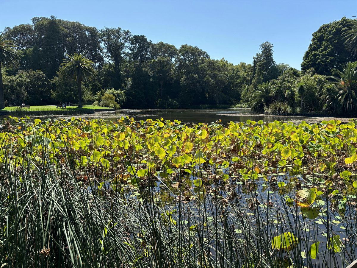 Art in the Garden :A Soulful Afternoon of Colour & Connection, 27 November | Event in Melbourne | AllEvents