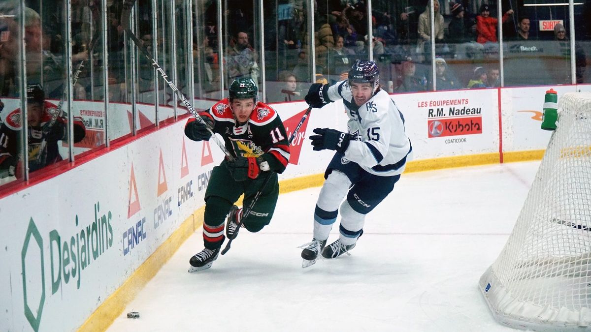 Halifax Mooseheads at Sherbrooke Phoenix, 1 February | Event in Sherbrooke | AllEvents