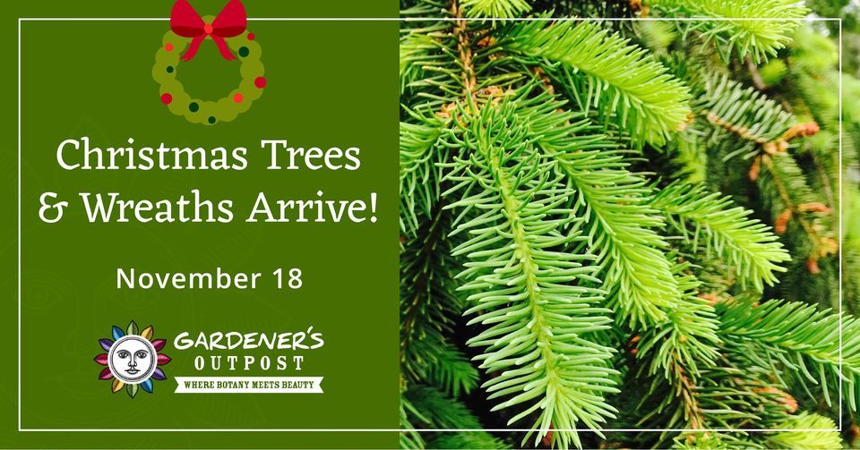 Columbia christmas charities