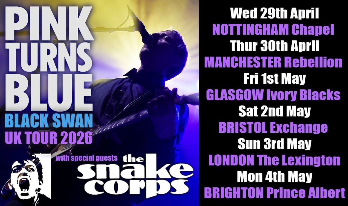 PINK TURNS BLUE - The Black Swan Tour | Nottingham, 29 April | Event in Nottingham | AllEvents