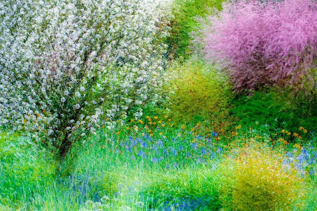 The Art of Seeing: A Weekend of Creative Photography with Charles Needle, 24 April | Event in Peninsula | AllEvents