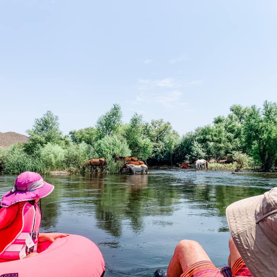 Salt River Tubing 2023, Salt River Tubing, Tortilla Flat, August 20
